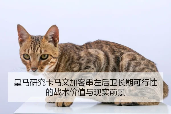 皇马研究卡马文加客串左后卫长期可行性的战术价值与现实前景